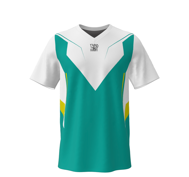 Custom V Neck T Shirt